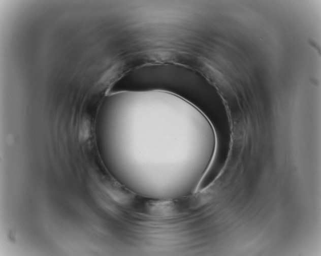 X0000095940132200801110902