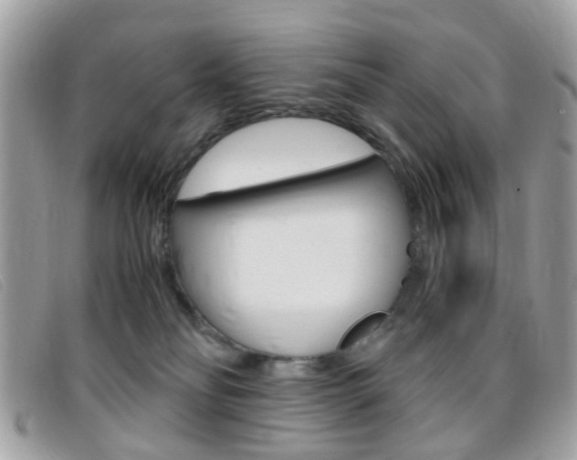 X0000095940134200801110902