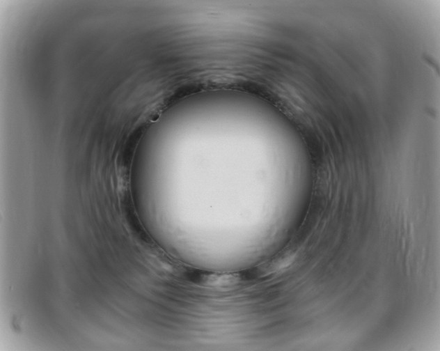 X0000095940135200801110902