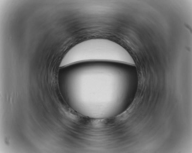 X0000095940136200801110902
