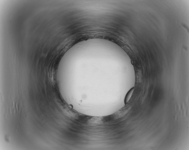 X0000095940138200801110902