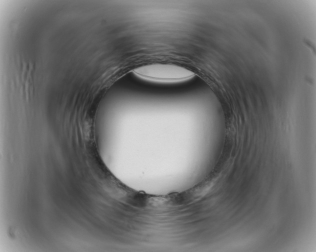 X0000095940139200801110902