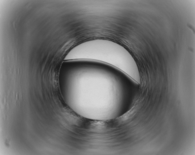 X0000095940140200801110902
