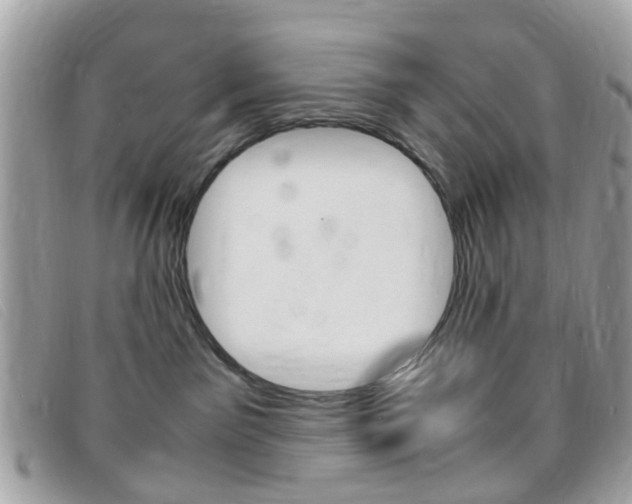X0000095940141200801110902