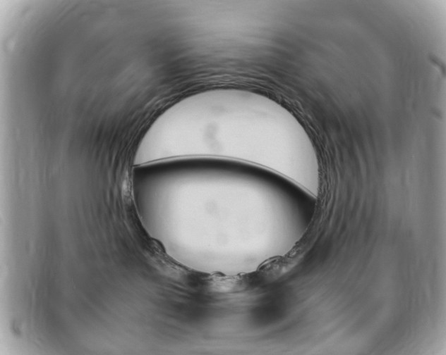 X0000095940143200801110902