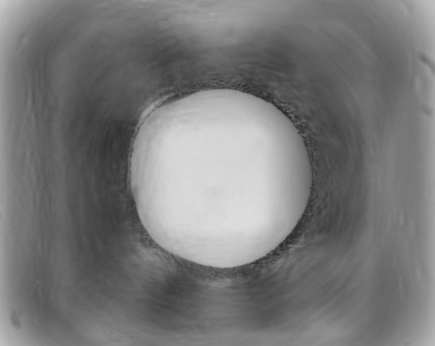 X0000095940144200801110902