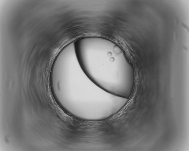 X0000095940145200801110902