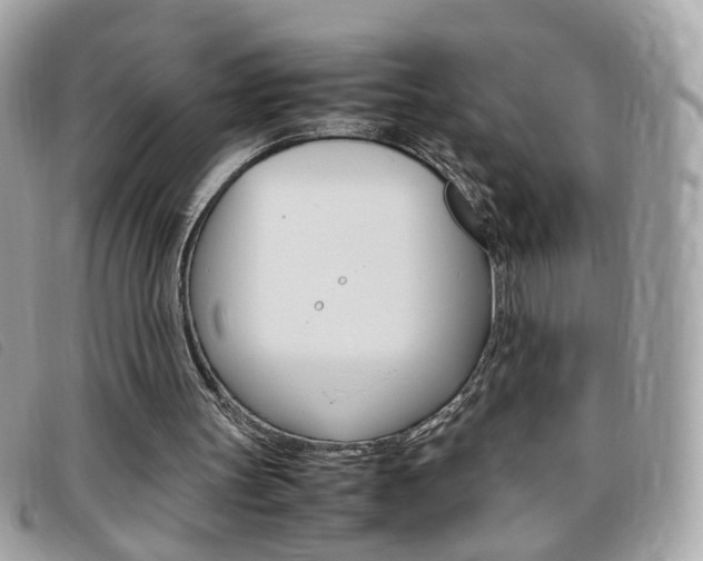 X0000095940147200801110902