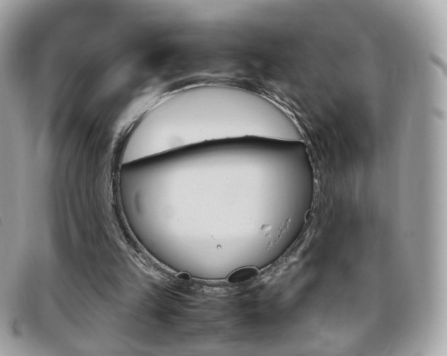 X0000095940149200801110902