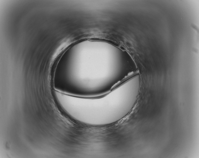 X0000095940150200801110902