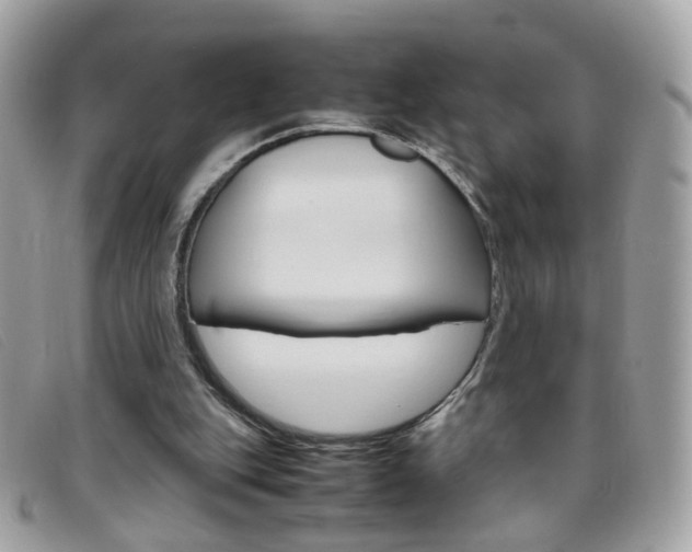 X0000095940151200801110902