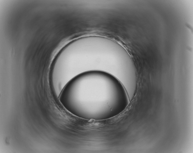 X0000095940152200801110902