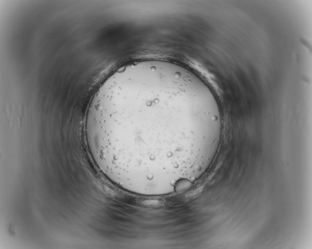 X0000095940153200801110902