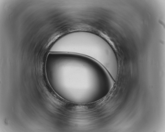 X0000095940154200801110902