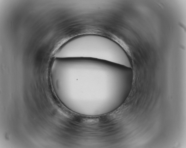 X0000095940155200801110902