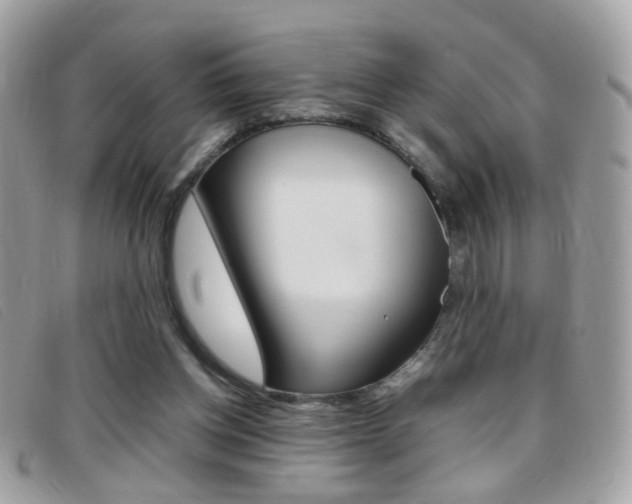 X0000095940158200801110902