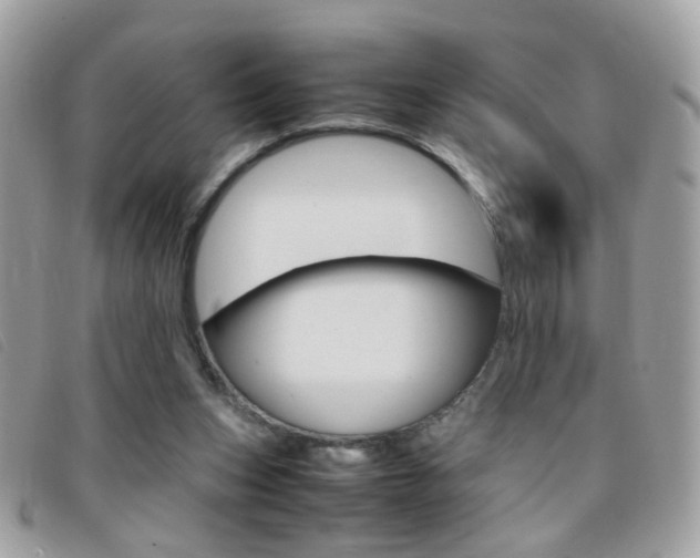 X0000095940159200801110902