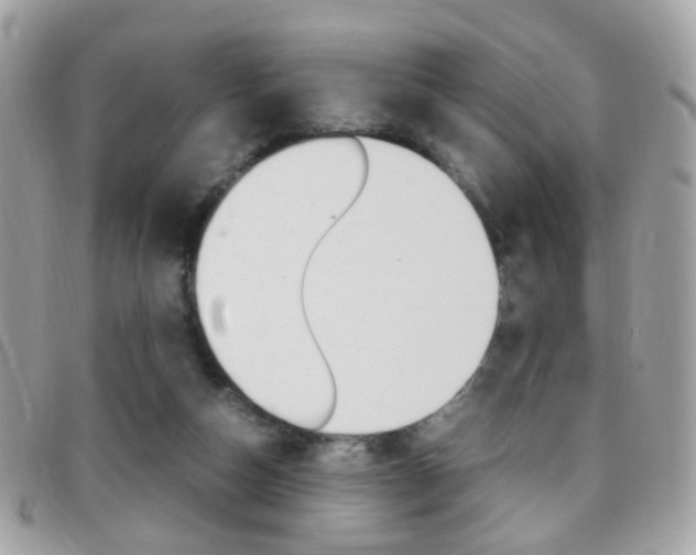 X0000095940162200801110902