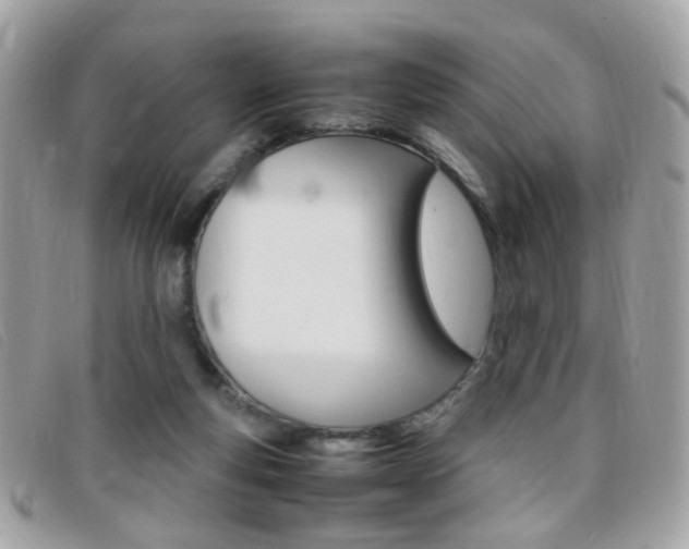 X0000095940163200801110902