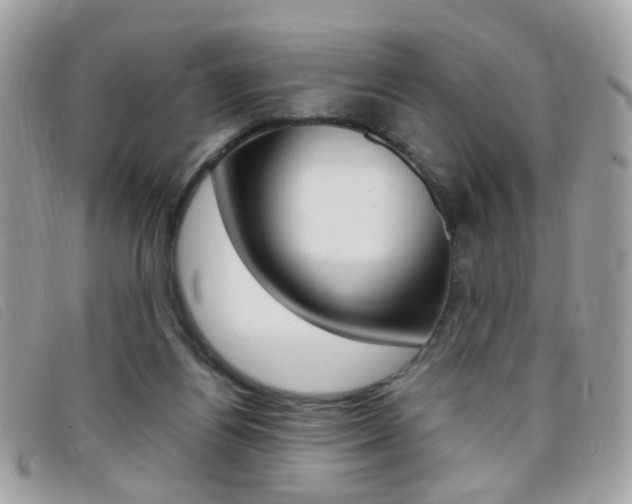 X0000095940164200801110902