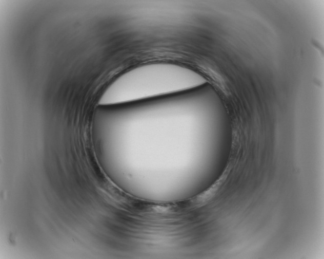 X0000095940166200801110902
