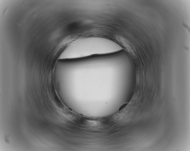 X0000095940167200801110902