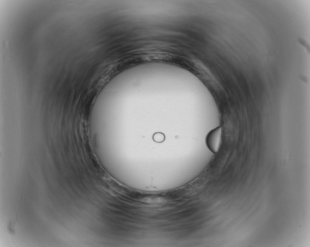 X0000095940169200801110902