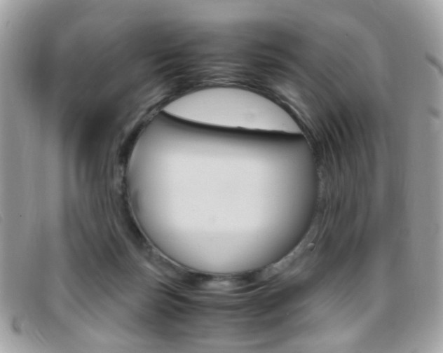 X0000095940171200801110902