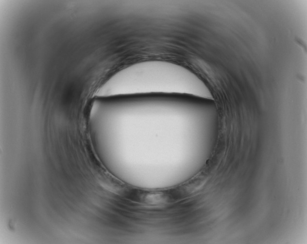 X0000095940173200801110902