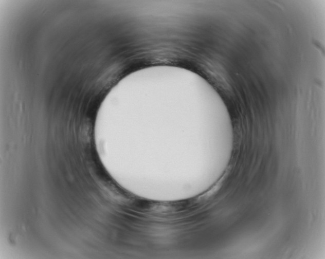 X0000095940174200801110902
