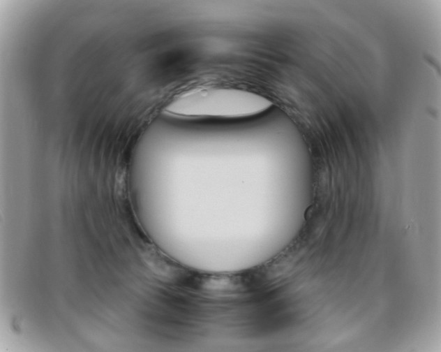 X0000095940177200801110902