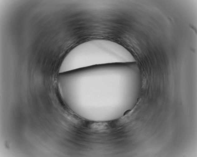X0000095940179200801110902