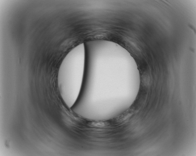 X0000095940181200801110902