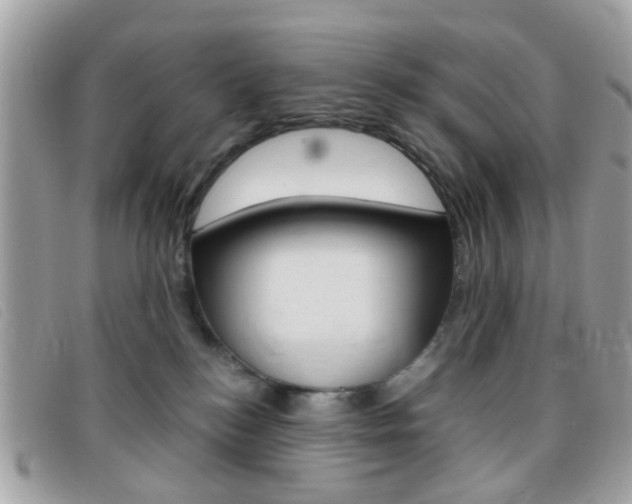 X0000095940184200801110902