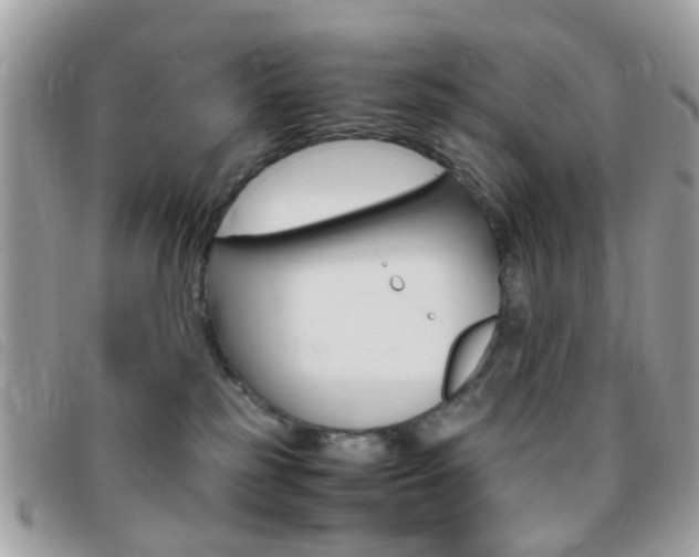 X0000095940185200801110902
