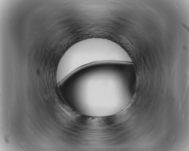 X0000095940186200801110902
