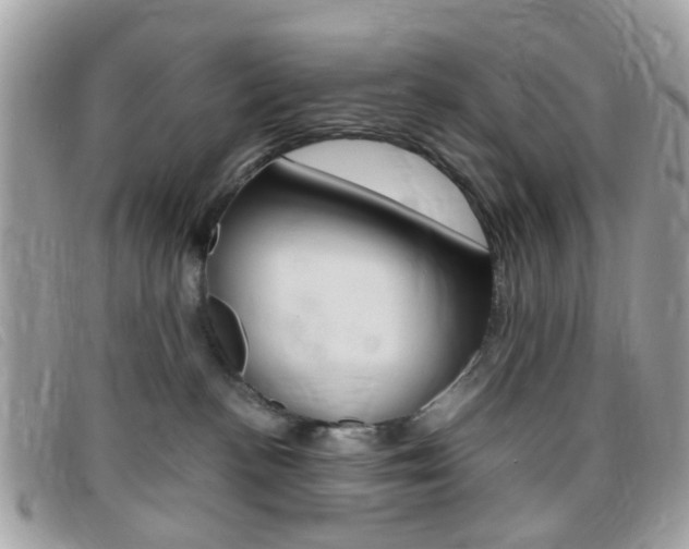 X0000095940188200801110902