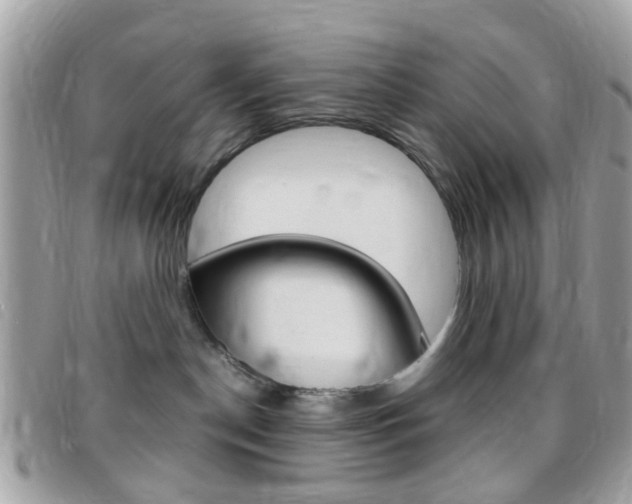 X0000095940190200801110902