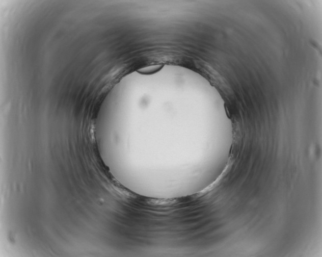X0000095940191200801110902