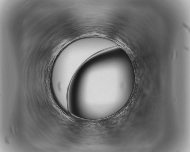 X0000095940193200801110902