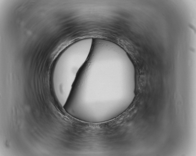 X0000095940194200801110902