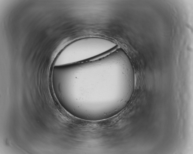 X0000095940195200801110902