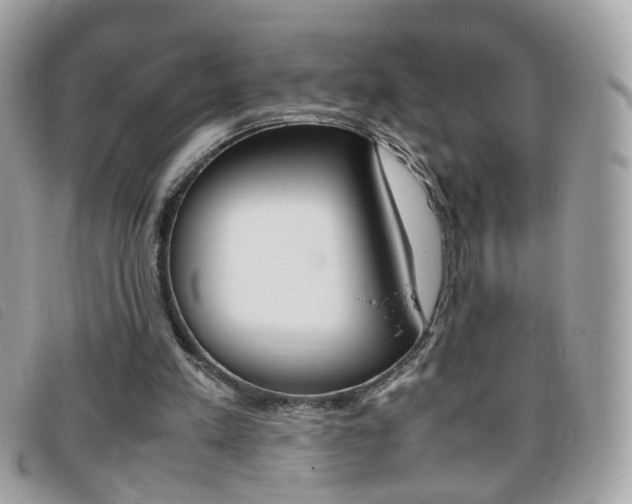 X0000095940197200801110902