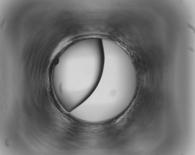 X0000095940198200801110902