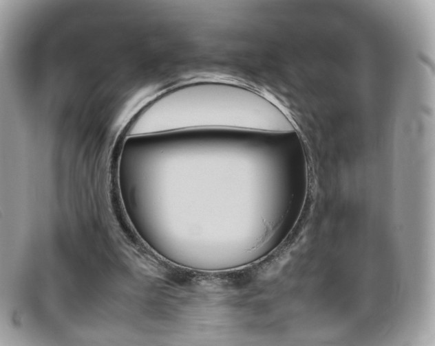 X0000095940199200801110902