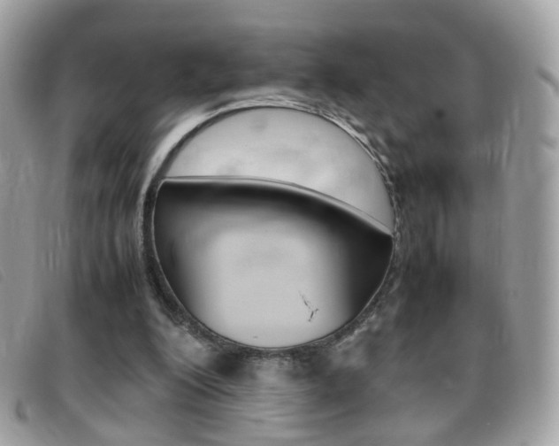 X0000095940200200801110902