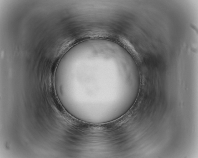 X0000095940202200801110902