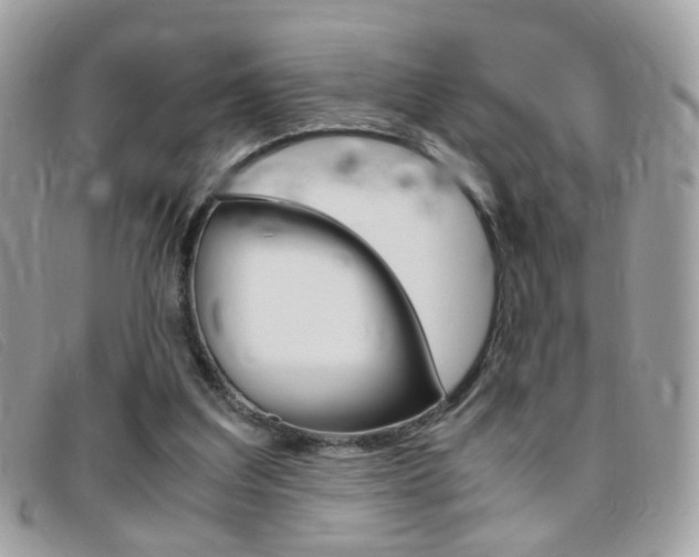 X0000095940203200801110902