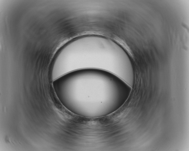 X0000095940204200801110902