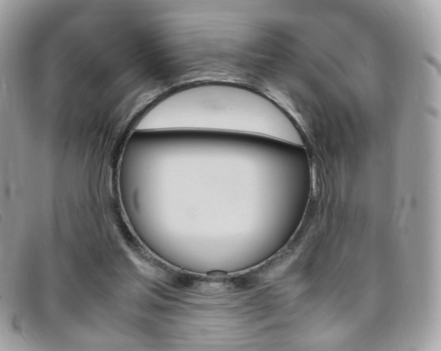 X0000095940205200801110901